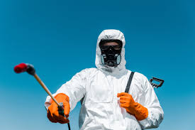 Best Ant Control  in Winton, CA